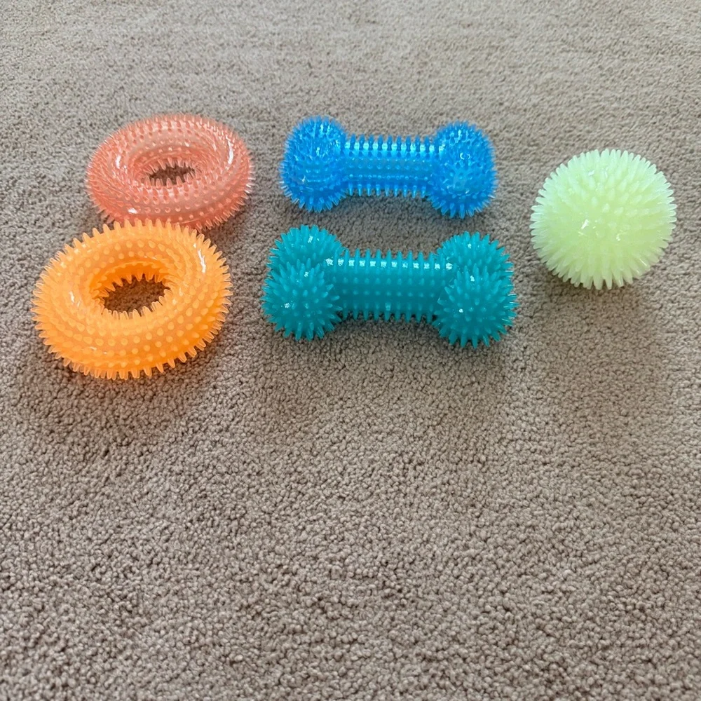 Vibrant Spiky Squeaky Dog Toy Set - Orange, Blue, Green - Set of Five (5)
